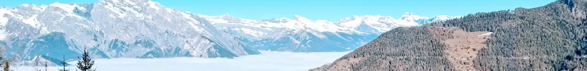 Channeling; Region Basel; Basel; Mediales; Medium; Mediales Heilen; Medialität; Geistheilen;