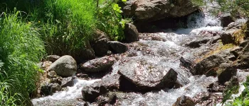 Wildbach